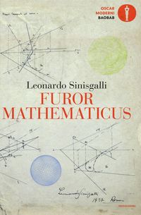Produktbild: Furor mathematicus