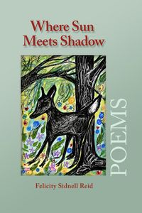 Produktbild: Where Sun Meets Shadow