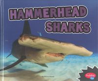 Produktbild: Hammerhead Sharks