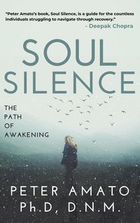 Produktbild: Soul Silence: The Path of Awakening