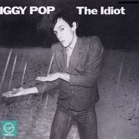 Produktbild: The Idiot (Vinyl)