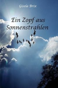 Produktbild: Ein Zopf aus Sonnenstrahlen