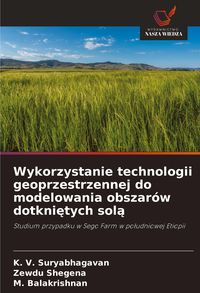 Produktbild: Wykorzystanie technologii geoprzestrzennej do modelowania obszar&oacute;w dotkni&iquest;tych sol&iquest;