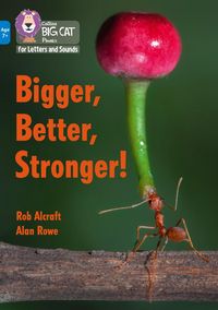 Produktbild: Big Cat L&s Ks2_bigger Better
