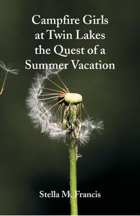 Produktbild: Campfire Girls at Twin Lakes The Quest of a Summer Vacation
