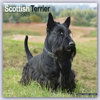 Bild vom Artikel Scottish Terrier - Scottish Terrier 2023 - 16-Monatskalender vom Autor Avonside Publishing Ltd