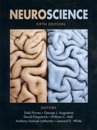 Produktbild: Neuroscience 5e + Neurons in Action 2