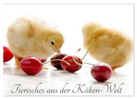 Produktbild: Tierisches aus der K&uuml;ken-Welt (Wandkalender 2026 DIN A2 quer), CALVENDO Monatskalender