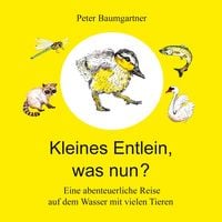 Produktbild: Kleines Entlein, was nun?
