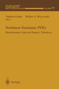 Produktbild: Nonlinear Stochastic PDEs