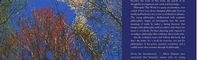 Produktbild: Philosophy That Works