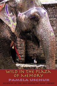 Produktbild: Wild in the Plaza of Memory