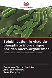 Produktbild: Solubilisation in vitro du phosphate inorganique par des micro-organismes