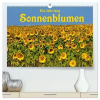 Produktbild: Ein Jahr lang Sonnenblumen (hochwertiger Premium Wandkalender 2027 DIN A2 quer), Kunstdruck in Hochglanz