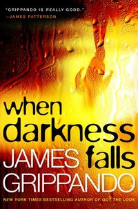 Produktbild: When Darkness Falls