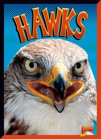 Produktbild: Hawks