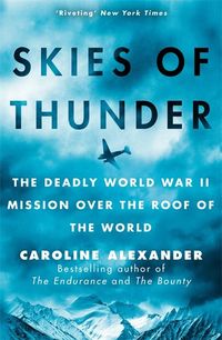 Produktbild: Skies of Thunder