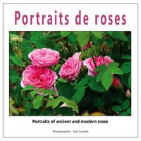 Produktbild: Portraits de roses