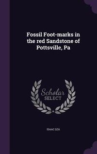 Produktbild: Fossil Foot-marks in the red Sandstone of Pottsville, Pa