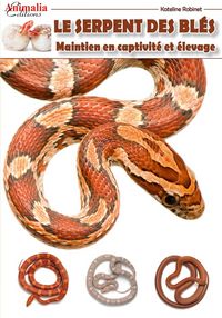 Produktbild: Serpent des bles maintien en
