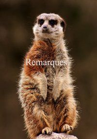 Produktbild: Remarques