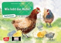 Bild vom Artikel Wie lebt das Huhn? Kamishibai Bildkartenset vom Autor Katharina Stöckl-Bauer