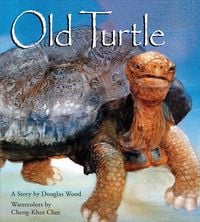 Produktbild: Old Turtle