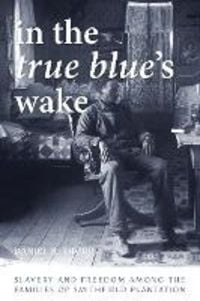 Produktbild: In the True Blue's Wake