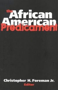 Produktbild: The African American Predicament