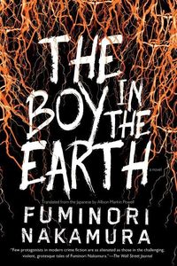 Produktbild: Nakamura, F: Boy In The Earth