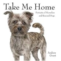 Produktbild: Take Me Home