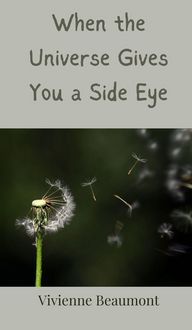 Produktbild: When the Universe Gives You a Side Eye