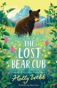 Produktbild: The Lost Bear Cub