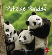 Bild vom Artikel Putzige Pandas Postkartenkalender - Kalender 2019 vom Autor Isabella Thompson