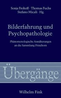 Produktbild: Bilderfahrung und Psychopathologie
