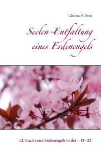 Produktbild: Seelen~Entfaltung eines Erdenengels