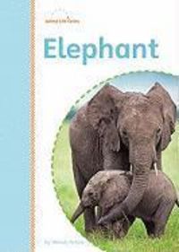 Produktbild: Elephant