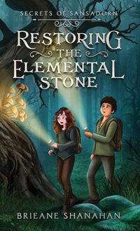 Produktbild: Restoring the Elemental Stone