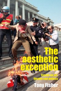 Produktbild: The aesthetic exception