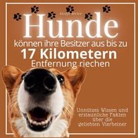 Produktbild: Hunde k&ouml;nnen ihre Besitzer aus bis zu 17 Kilometern Entfernung riechen