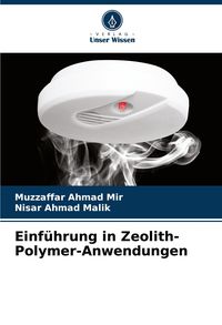 Produktbild: Einf&uuml;hrung in Zeolith-Polymer-Anwendungen