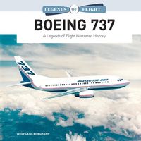 Bild vom Artikel Boeing 737 vom Autor Wolfgang Borgmann