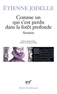 Produktbild: Comme un qui s'est perdu dans la for&ecirc;t profonde : sonnets
