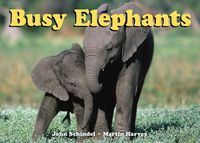 Produktbild: Busy Elephants-Board