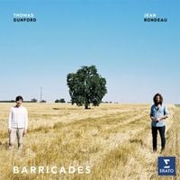 Produktbild: Barricades