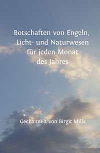 Produktbild: Botschaften von Engeln, Licht- und Naturwesen f&uuml;r jeden Monat des Jahres