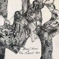 Produktbild: Becca Stevens & The Secret Trio