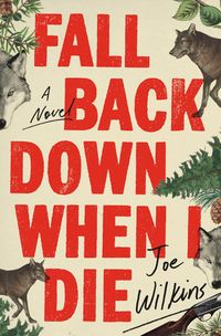 Produktbild: Wilkins, J: Fall Back Down When I Die
