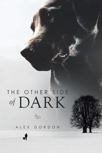 Produktbild: The Other Side of Dark