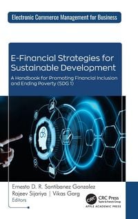 Produktbild: E-Financial Strategies for Sustainable Development